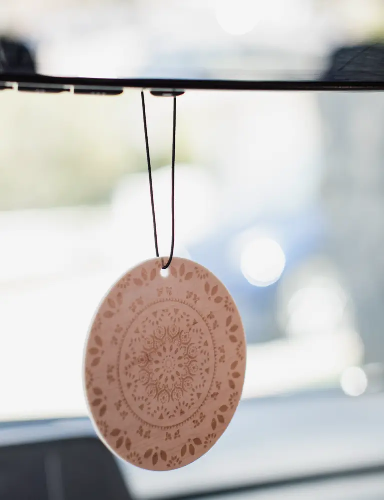 Set Of 8 Car Air Fresheners - Image 4