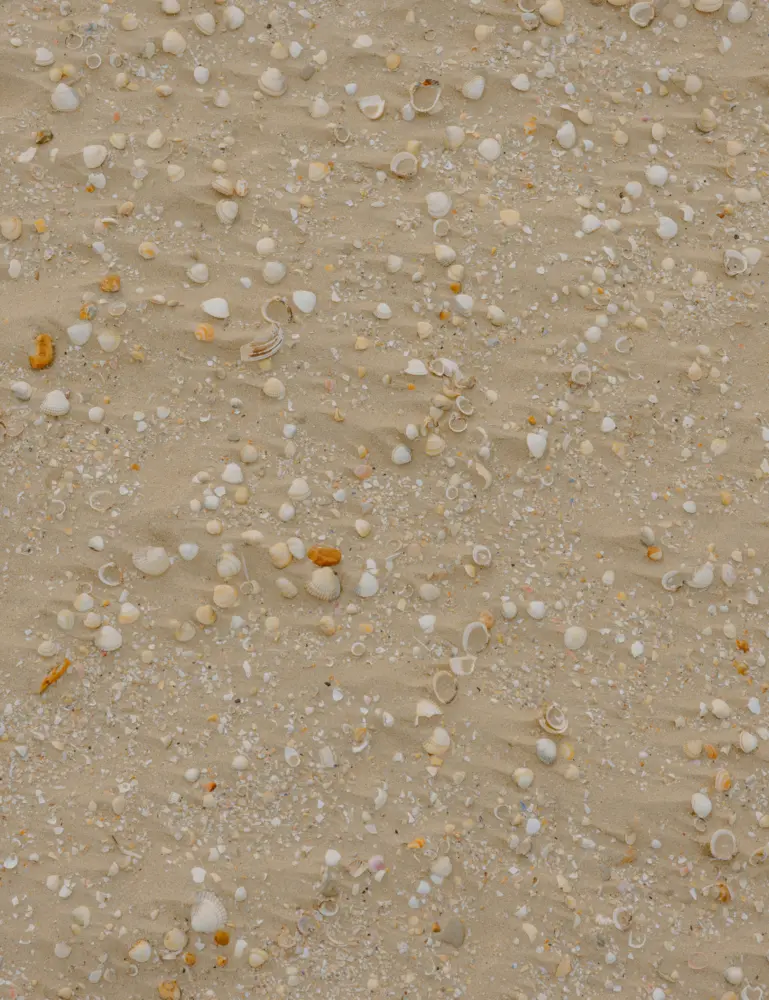 Sand + Paws Ocean & Sea Salt 12 Oz Scented Candle - Image 2