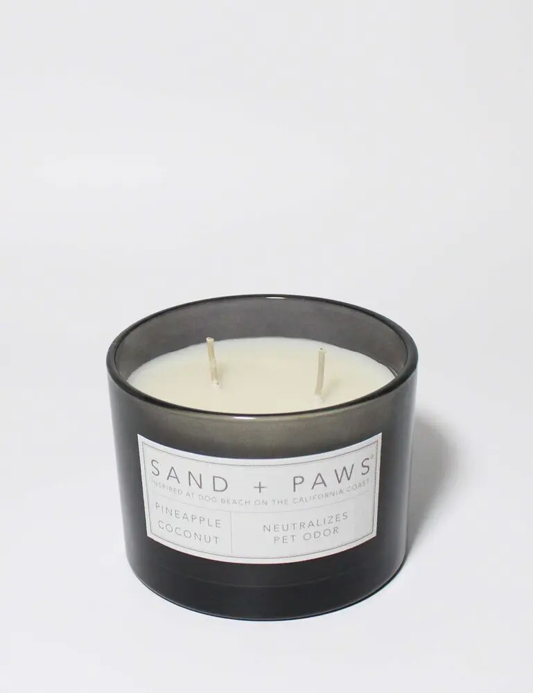 Sand + Paws Pineapple Coconut 12 Oz Scented Candle - Image 3