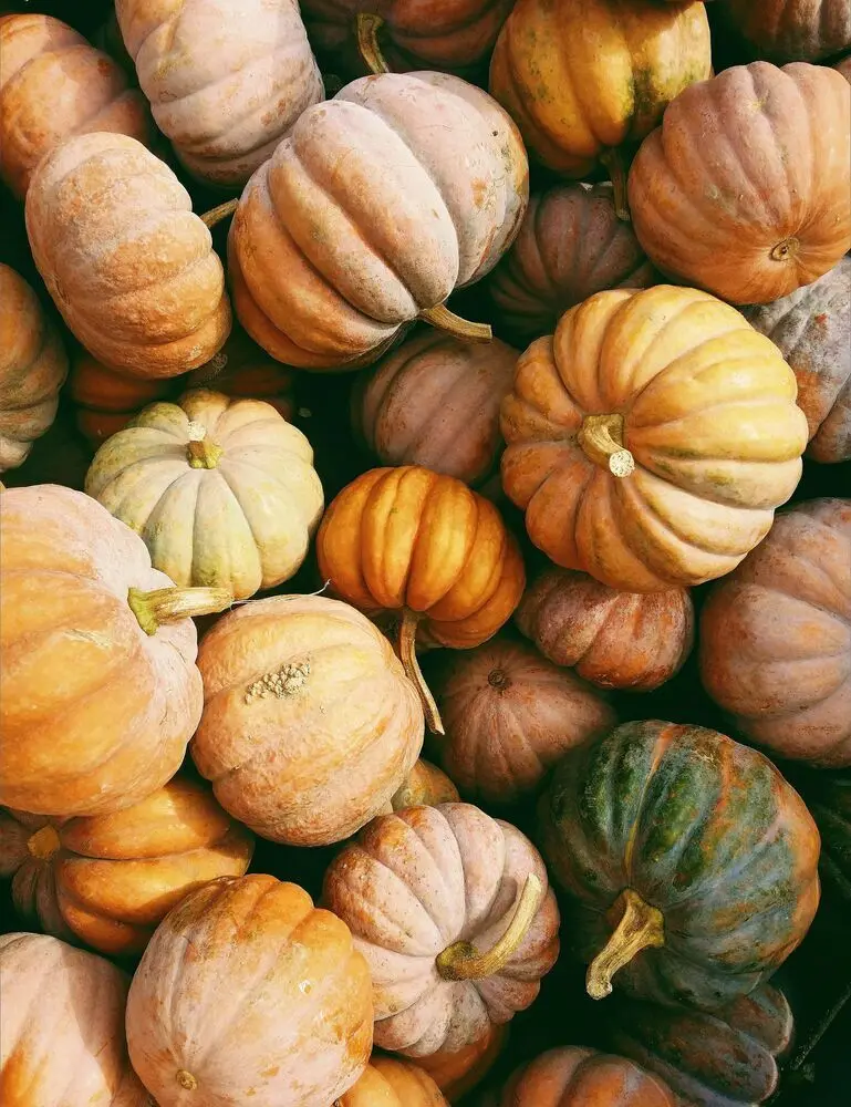 Pumpkin Harvest 12 Oz Scented Candle - Image 2