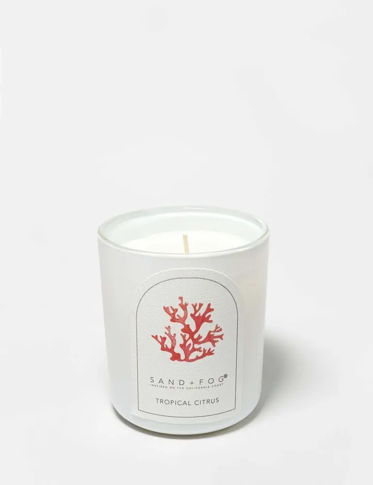 Tropical Citrus 10 Oz Scented Candle - Image 3