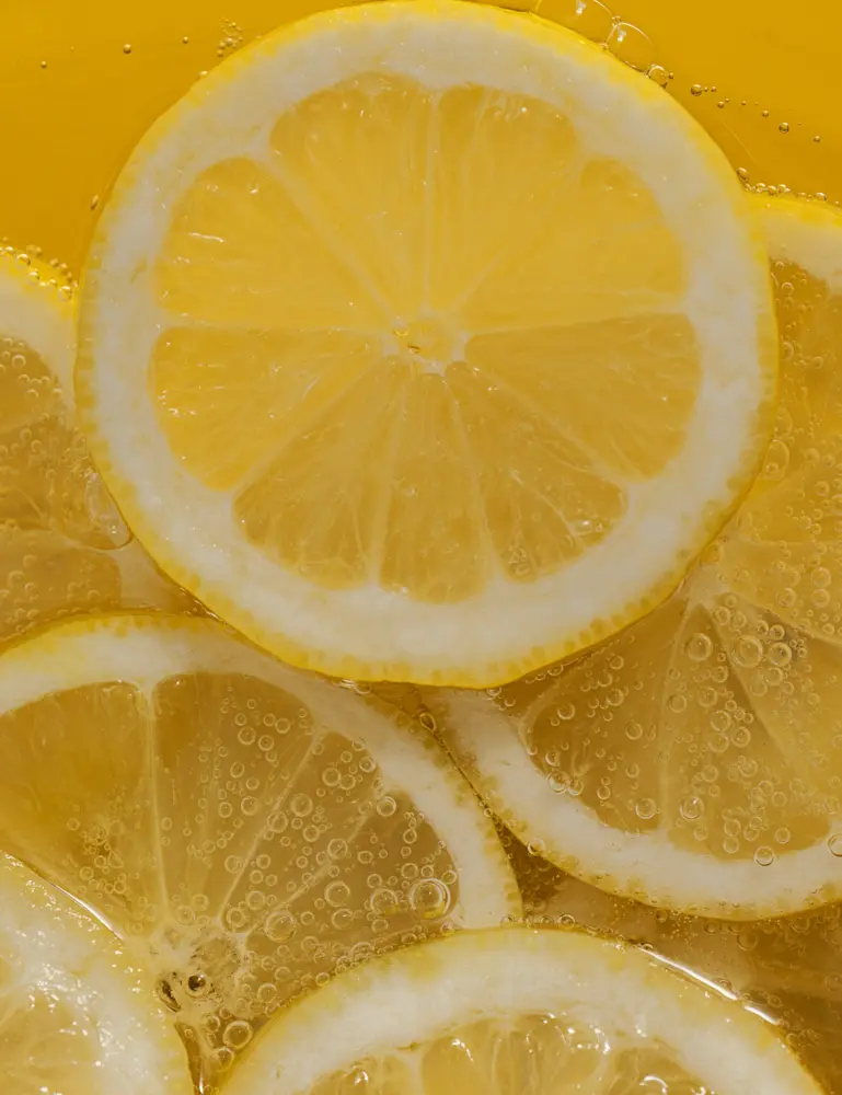 Lemon Verbena Modern Heirloom 20.3 Oz Liquid Hand Soap - Image 3