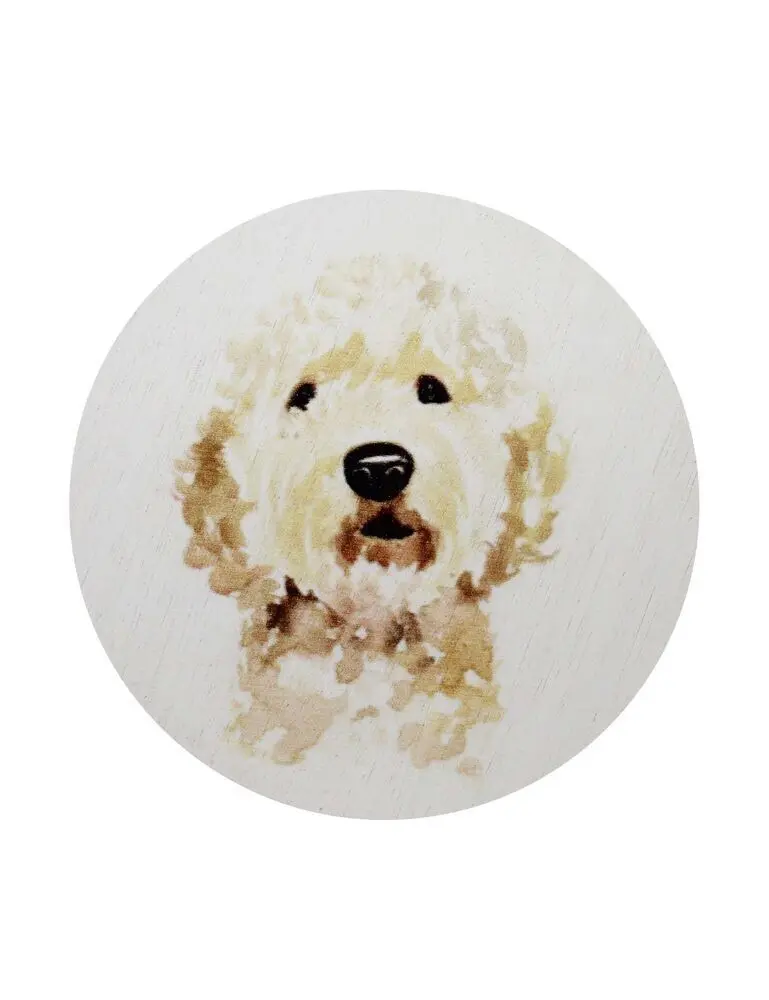 Sand + Paws Sun Washed Citrus 12 Oz Scented Candle - Image 4