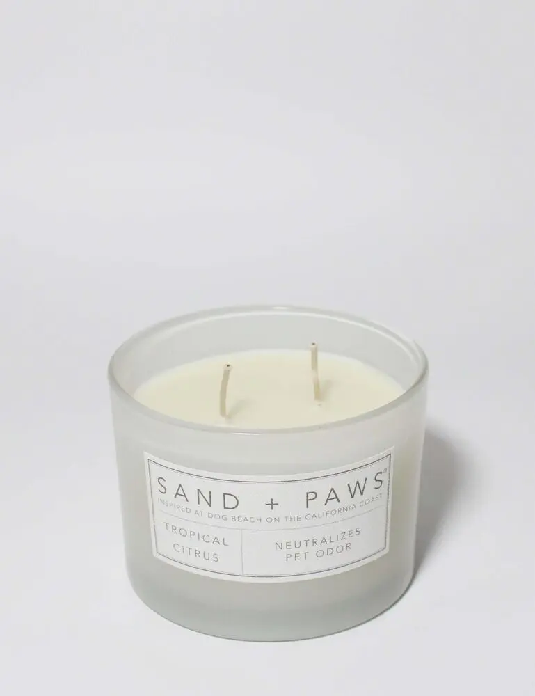 Sand + Paws Tropical Citrus 12 Oz Scented Candle - Image 3