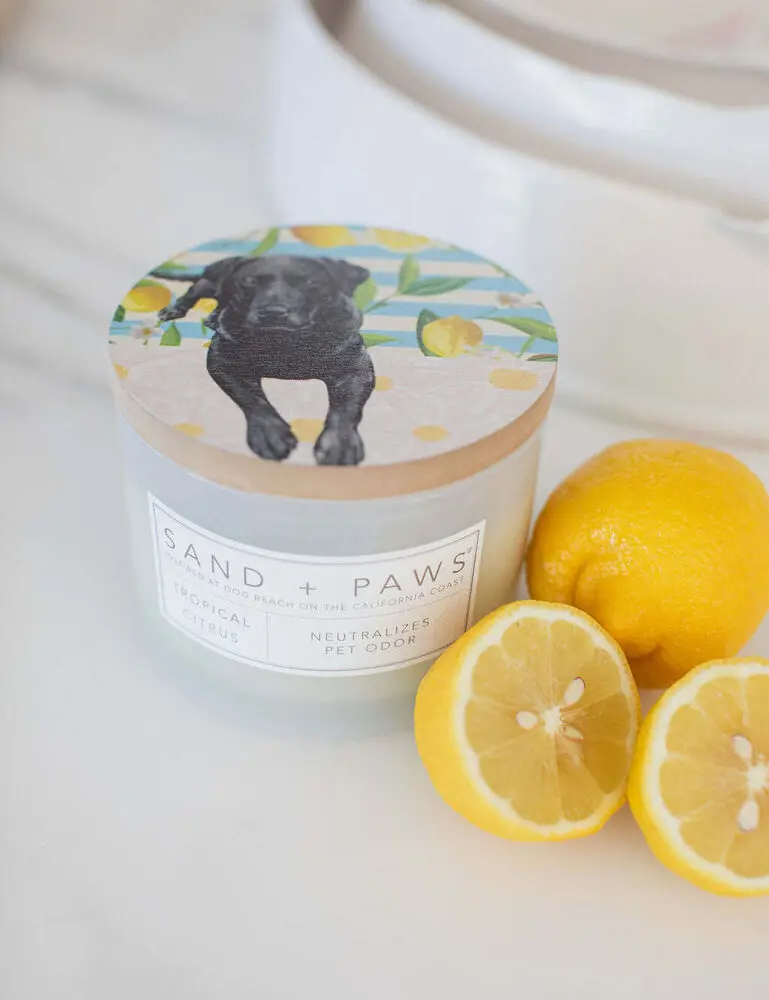 Sand + Paws Tropical Citrus 12 Oz Scented Candle - Image 5