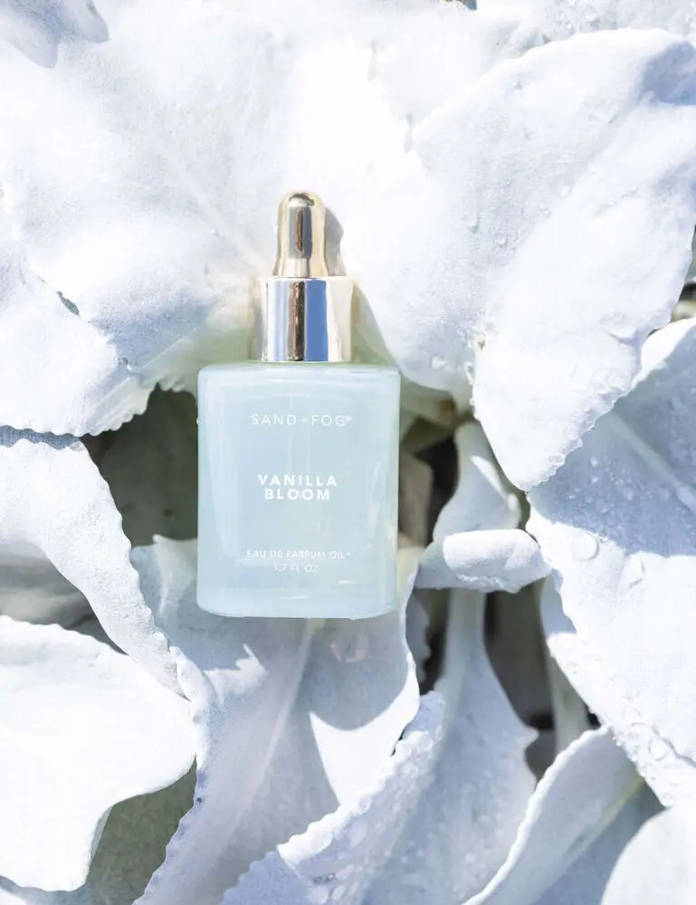 Vanilla Bloom 50 Ml Perfume Oil Dropper - Image 4