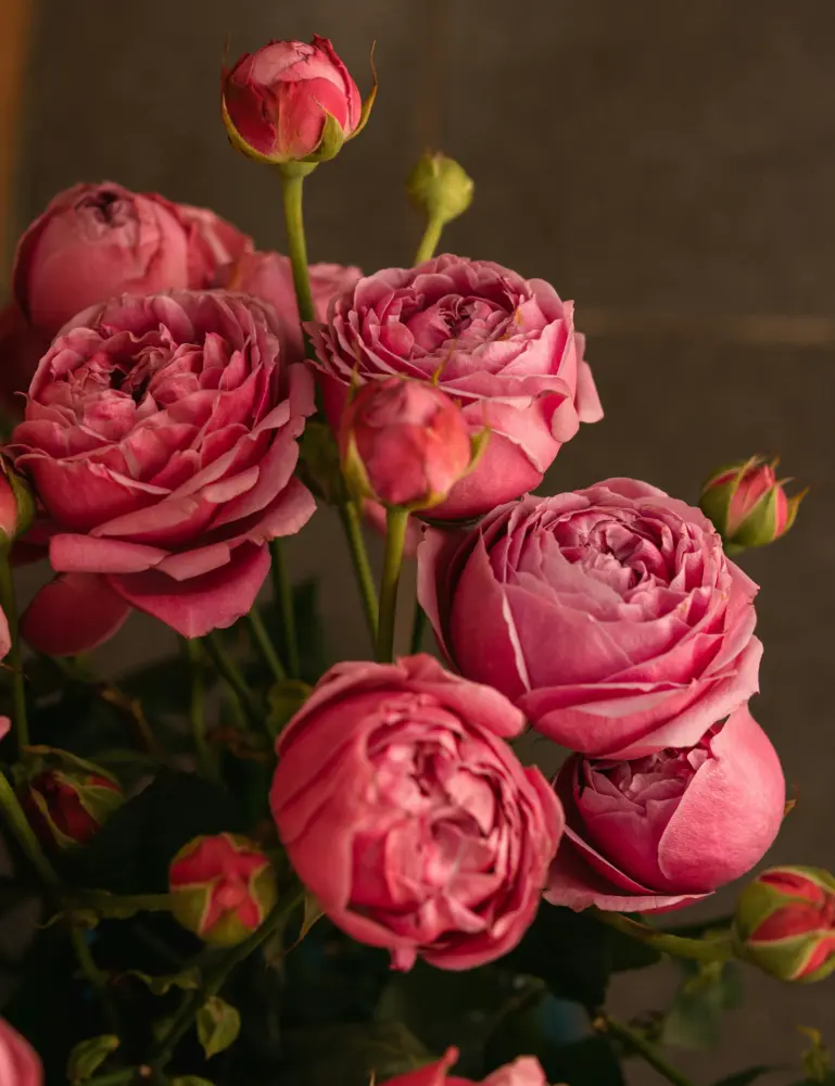 Rose & Peony 50 Ml Perfume Oil Dropper - Image 2
