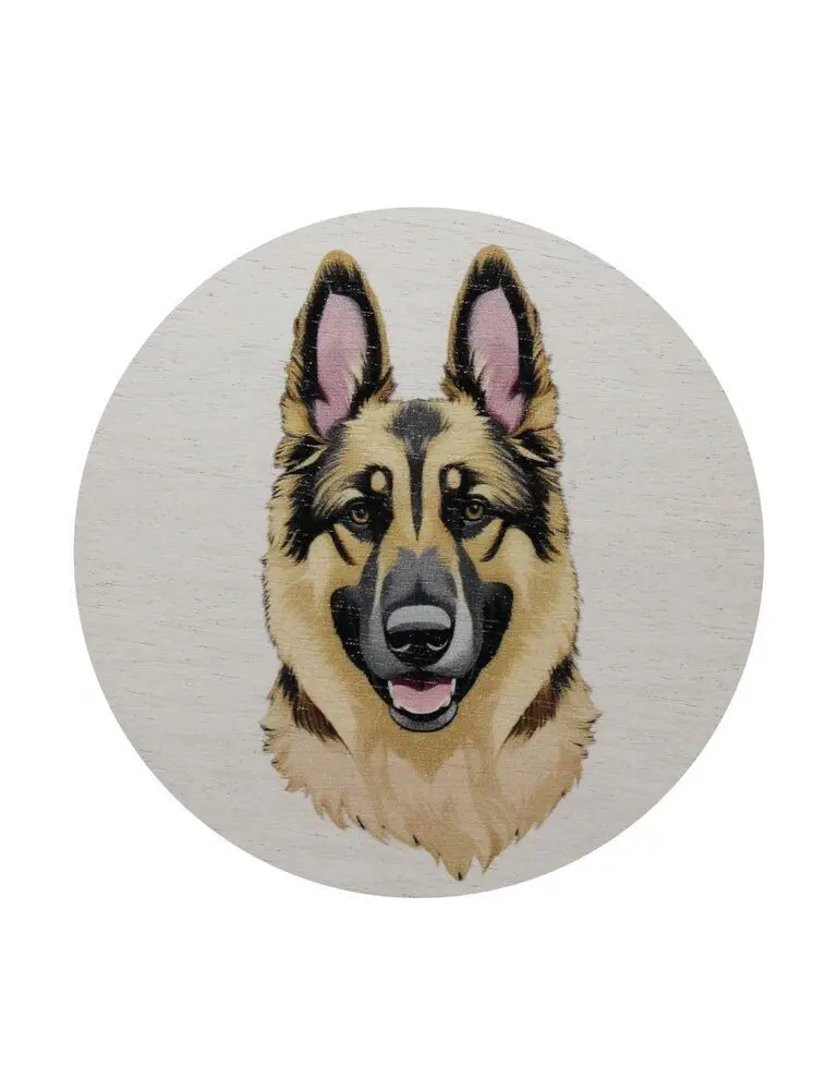 Sand + Paws Teakwood 12 Oz Scented Candle - Image 4