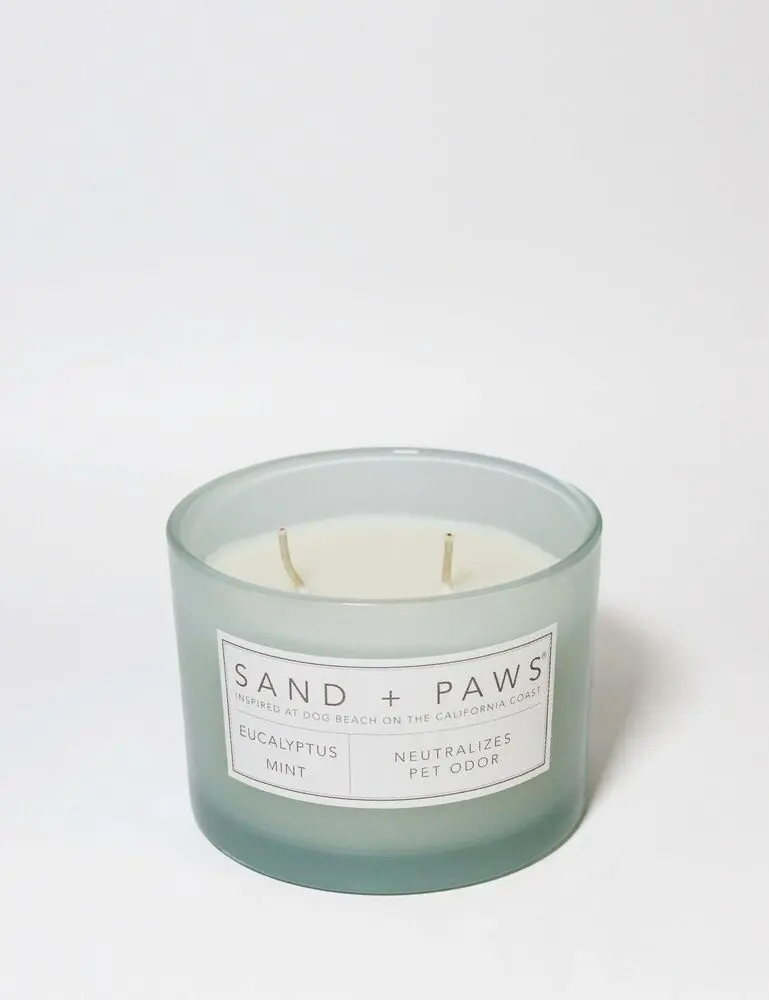 Sand + Paws Eucalyptus Mint 12 Oz Scented Candle - Image 3