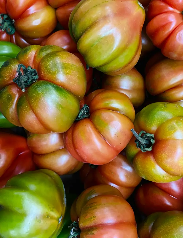 Sicilian Tomato 12 Oz Scented Candle - Image 2