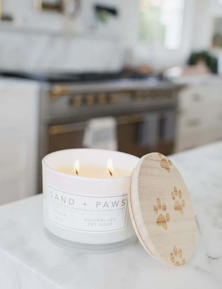 Sand + Paws Ocean Mist 12 Oz Scented Candle - Image 5