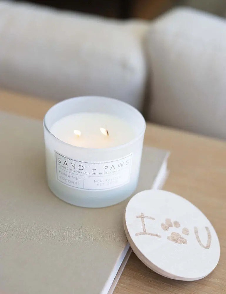 Sand + Paws Pineapple Coconut 12 Oz Scented Candle - Image 2