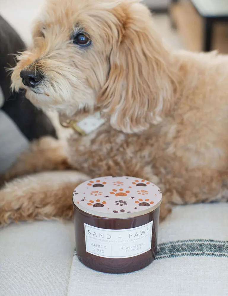Sand + Paws Amber & Fig 12 Oz Scented Candle - Image 2