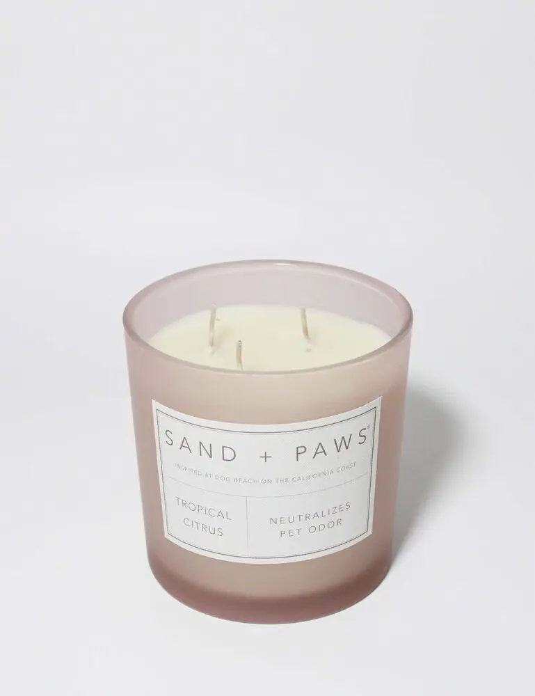 Sand + Paws Tropical Citrus 21 Oz Scented Candle - Image 3