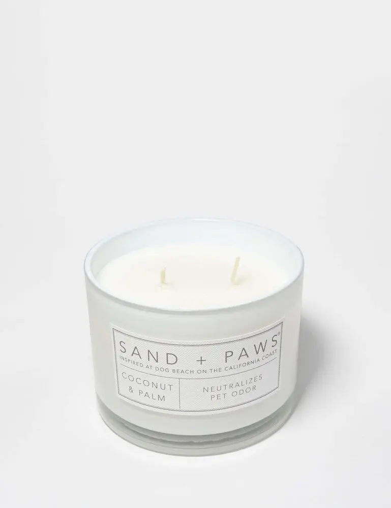 Sand + Paws Coconut & Palm 12 Oz Scented Candle - Image 3