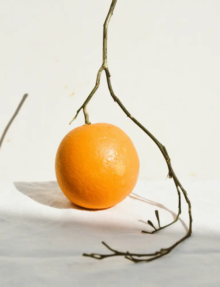 Citrus & Sandalwood 10 Oz Scented Candle - Image 2