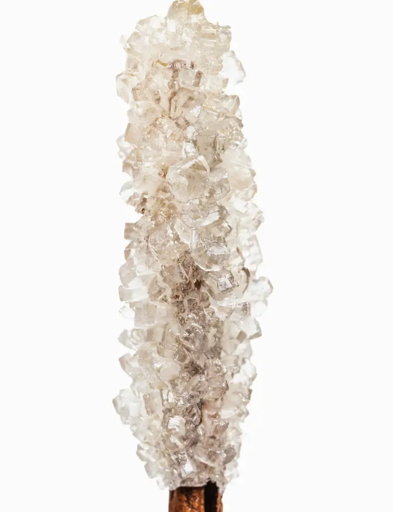Vanilla Sugar 32 Oz Body Wash - Image 2