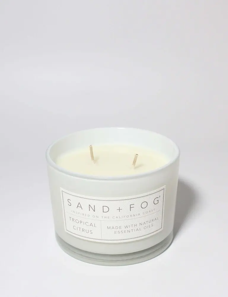 Tropical Citrus 12 Oz Scented Candle - Image 3