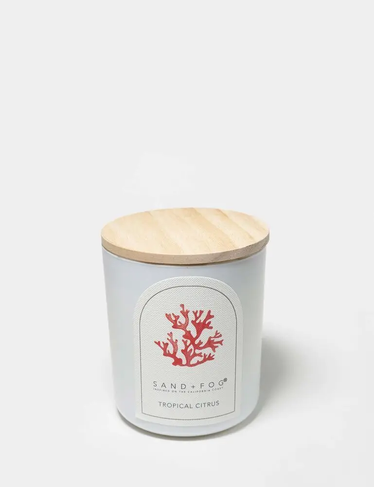 Tropical Citrus 10 Oz Scented Candle